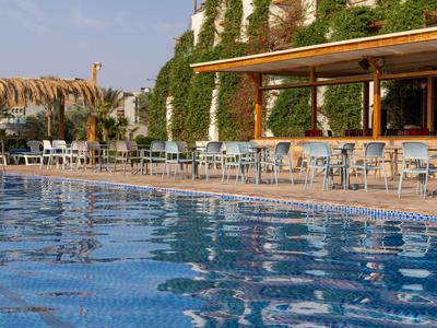 Large pool with blue tiles, sun loungers, and green-covered walls in the background.