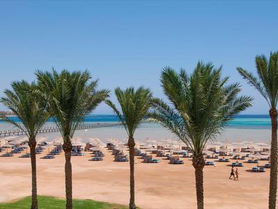 Palmy před pláží s lehátky a slunečníky u moře pod jasnou oblohou