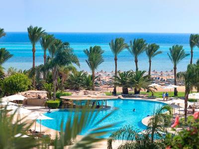Blick auf einen blauen Pool mit Palmen und Blumen; im Hintergrund das türkisfarbene Meer.