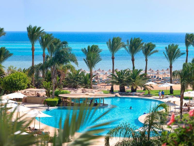 Hotelowy basen z palmami i widokiem na morze w słoneczny dzień.