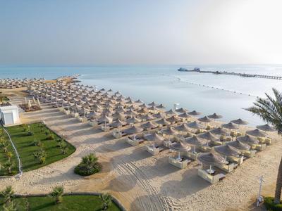 Resort de playa con filas de sombrillas y tumbonas a lo largo de la orilla arenosa junto al mar.