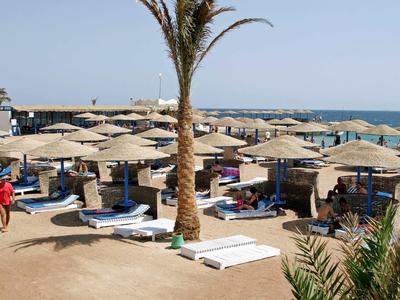 Plage avec transats et parasols, palmier et ciel bleu au bord de la mer.