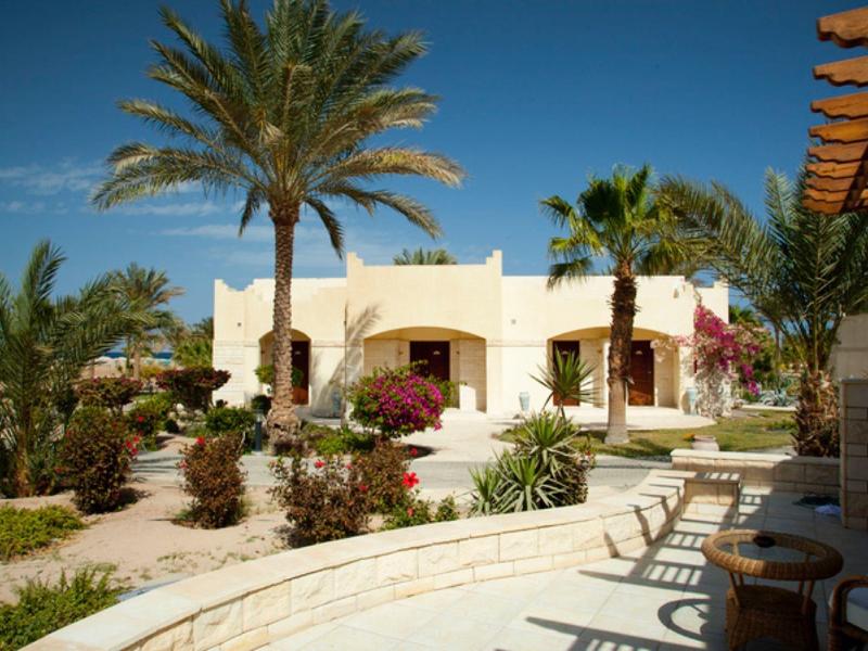 Bílá hotelová budova obklopená palmami a lehátky pod jasně modrou oblohou.