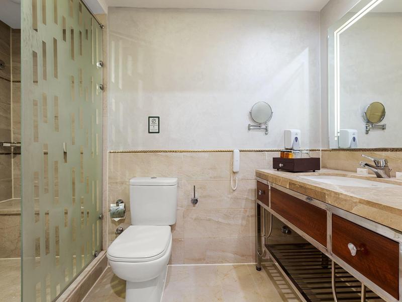 Bagno luminoso con doccia, WC e ampio lavabo con specchio.