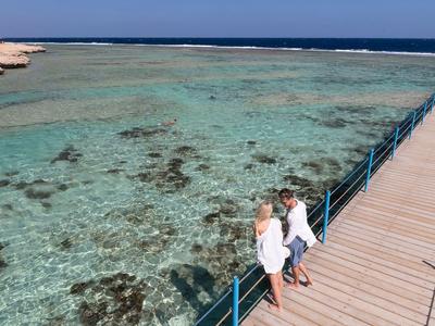 Dos personas están en un muelle con vistas al agua del mar clara y tranquila y arrecifes de coral.