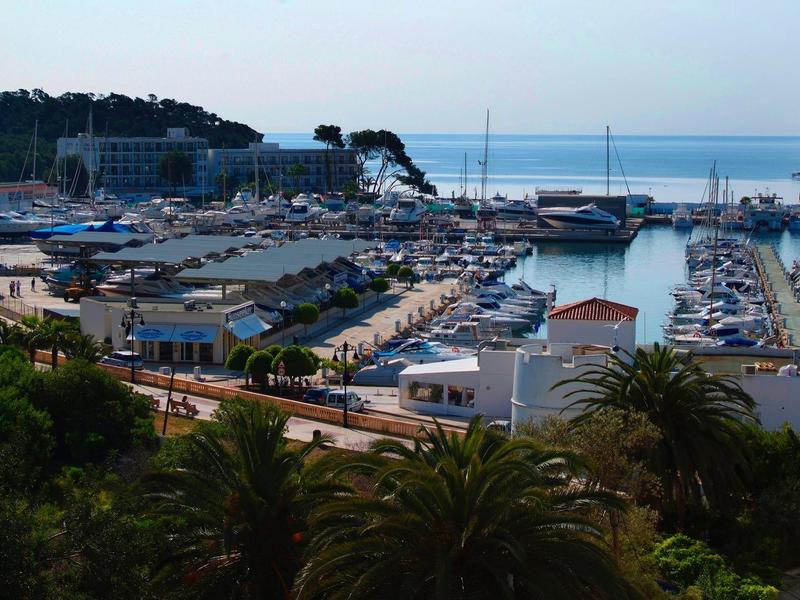 Sunny marina with numerous boats docked near a coastal town and lush greenery.