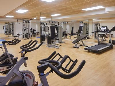 Světelná posilovna s různými cvičebními stroji na dřevěné podlaze a velkými zrcadly na stěnách.