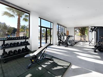 Helles Fitnessstudio mit modernen Geräten und großen Fenstern, Blick auf Palmen und Terrasse.
