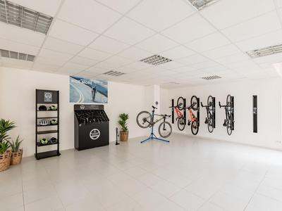 Moderner Fahrradkeller mit Wandhalterungen und dekorativen Pflanzen in einem hellen Raum.