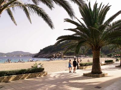 Strandpromenade mit Palmen, Spaziergängern, Sandstrand und ruhigem Meer im Hintergrund.
