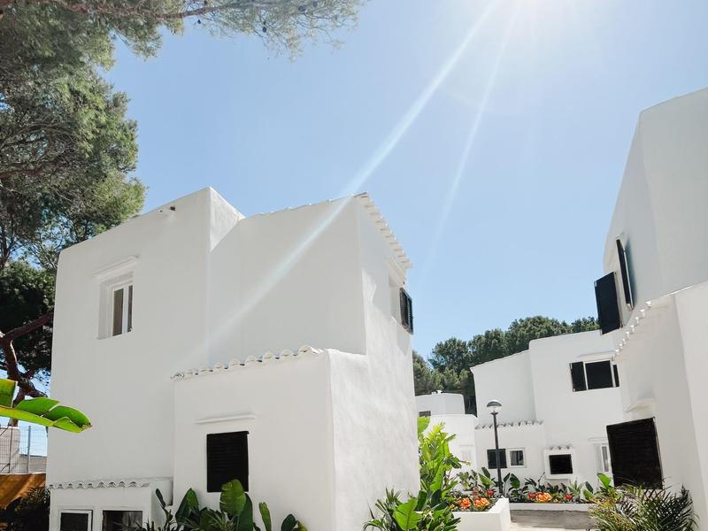 Białe domy z czarnymi okiennicami w słonecznym otoczeniu z roślinami i niebieskim niebem