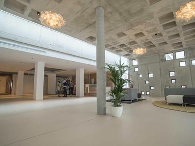 Ruime, moderne hotel lobby met plant, zitplaatsen en stijlvolle verlichting.