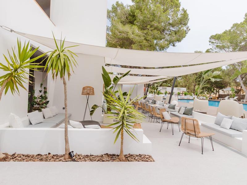 Moderne buitenruimte van een hotel met witte meubels, planten en zonneschermen naast een zwembad.