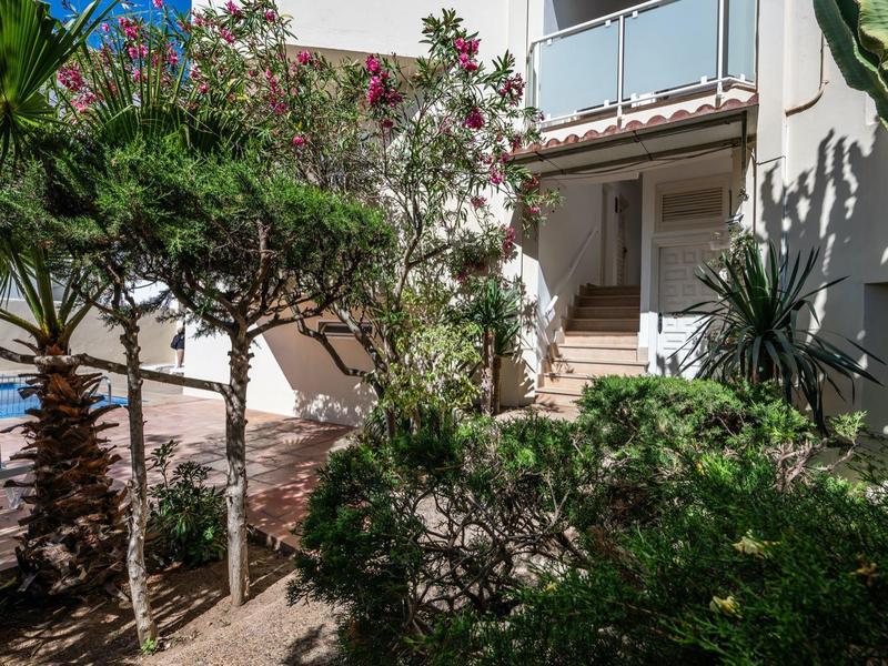 Garden with trees and blooming shrubs in front of a building near the sea.