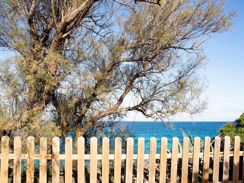 Holzzaun vor Baum mit dünnen Ästen, dahinter türkisfarbenes Meer und blauer Himmel.