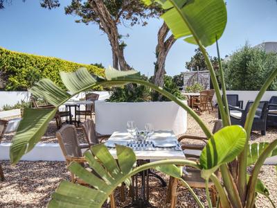 Sonnige Terrasse mit Glasscheibtisch und Stühlen, umgeben von grünen Pflanzen und Bäumen.