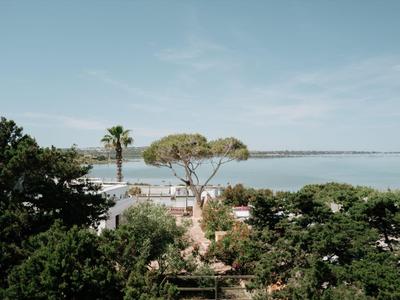 Blick auf einen Gartenteil mit Bäumen und Palmen vor ruhigem Meer unter blauem Himmel.