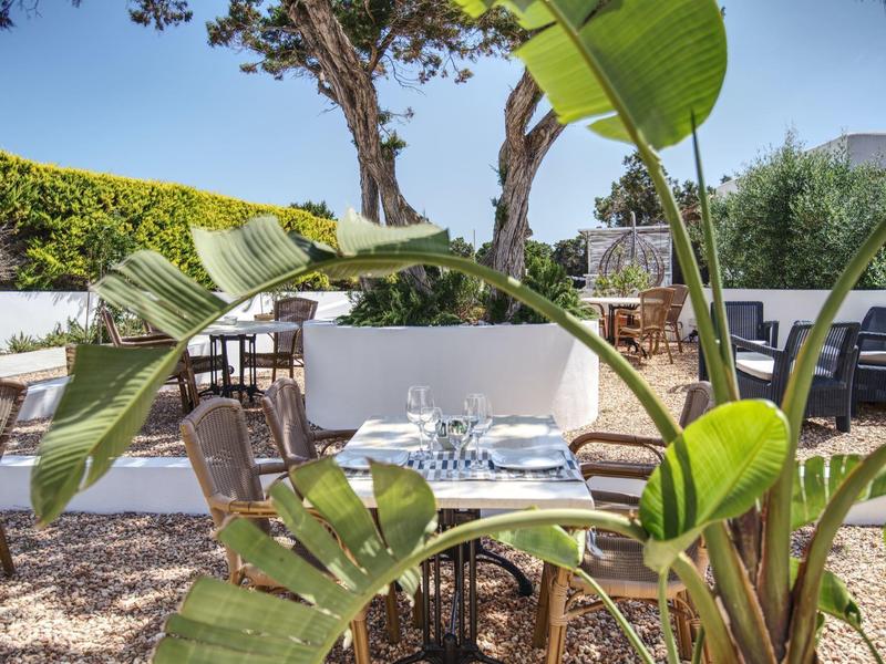 Cozy hotel outdoor area with tables, chairs, and large green plants under a clear blue sky.