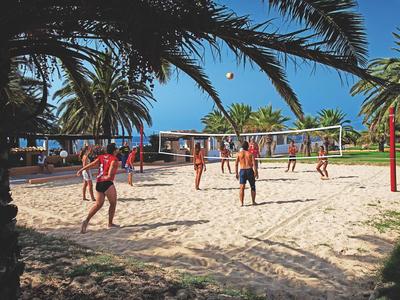 Menschen spielen Beachvolleyball auf einem Sandplatz im Freien mit Palmen im Hintergrund.