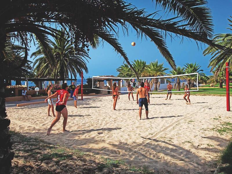 Mensen spelen volleybal op een zandveld omringd door palmbomen en een heldere blauwe lucht.