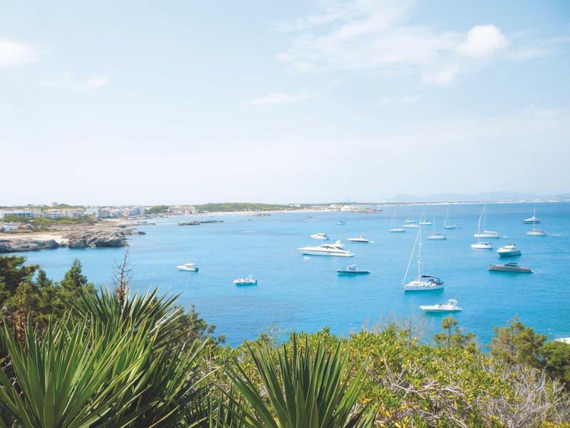 Uitzicht op een rustige baai met zeilboten en groen struikgewas op de voorgrond