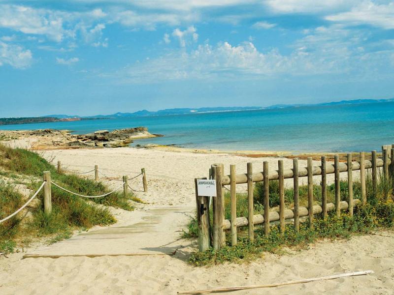 Sandiger Weg führt durch Stranddünen zum ruhigen, blauen Meer unter hellem Himmel mit wenigen Wolken.