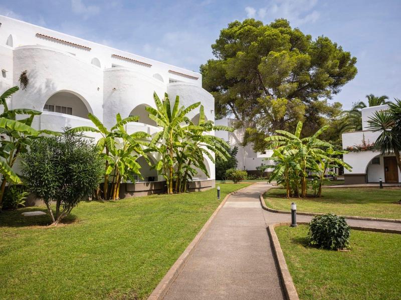 Grüner Garten mit kleinen Bäumen, Rasen und weißem Gebäude im Hintergrund unter blauem Himmel.