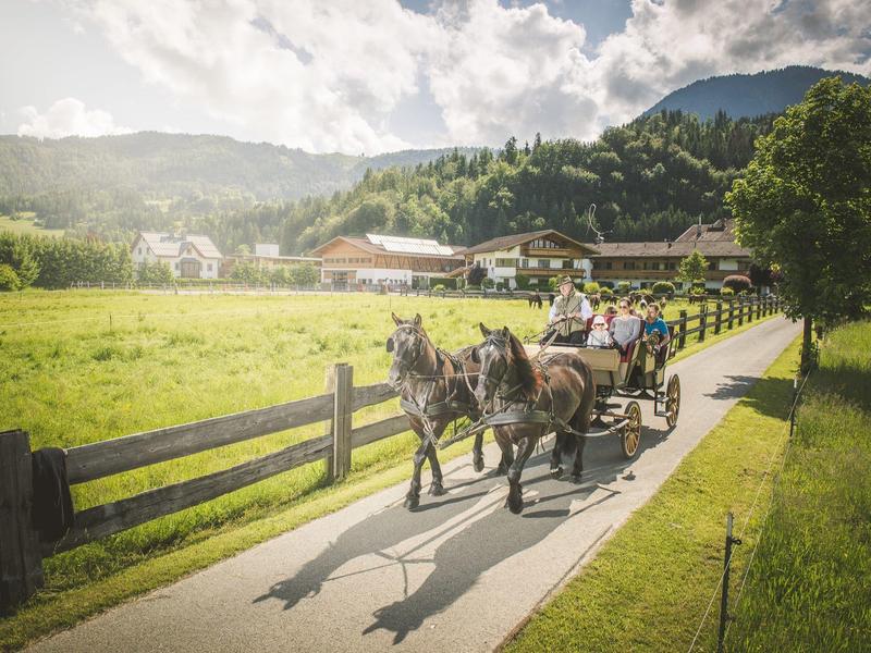Un carruaje tirado por caballos circula por un camino rural junto a praderas verdes y colinas bajo el sol.