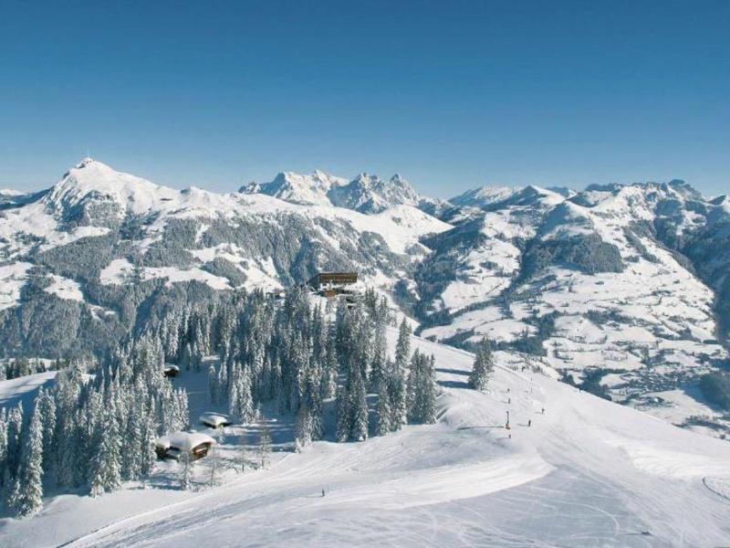 Verschneite Berglandschaft mit Tannen, Skipiste und klarem blauem Himmel.