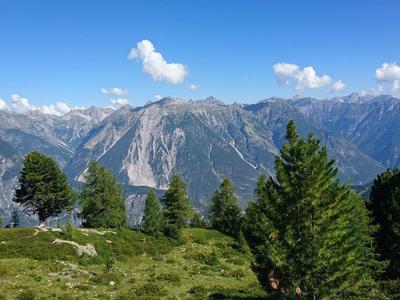 Berglandschaft mit grünen Wiesen, Nadelbäumen und bewölktem blauem Himmel.
