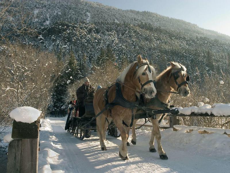 Zwei Pferde ziehen eine Kutsche auf verschneiter Straße vor bewaldetem Hügel im Winter.
