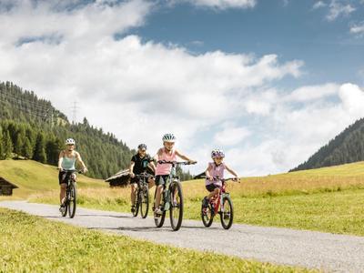 Vier Personen fahren mit Fahrrädern auf einem schmalen Weg in einer grünen Gebirgslandschaft.