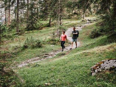 Zwei Wanderer laufen auf einem schmalen Pfad durch einen bewaldeten Hügel mit Gras und Felsen.