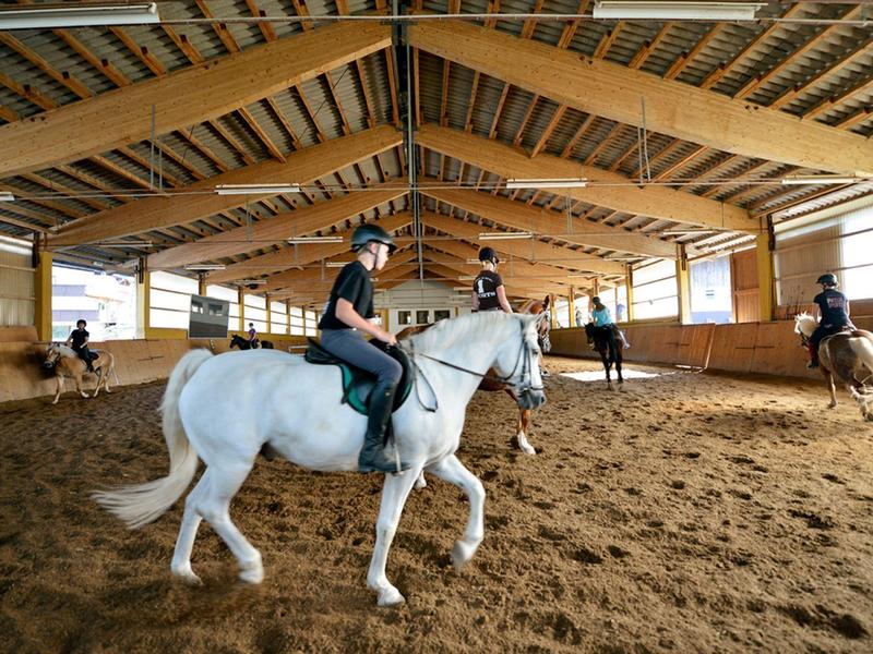 Innenraum einer Reithalle mit mehreren Reitern auf Pferden unter einem Holzdach.