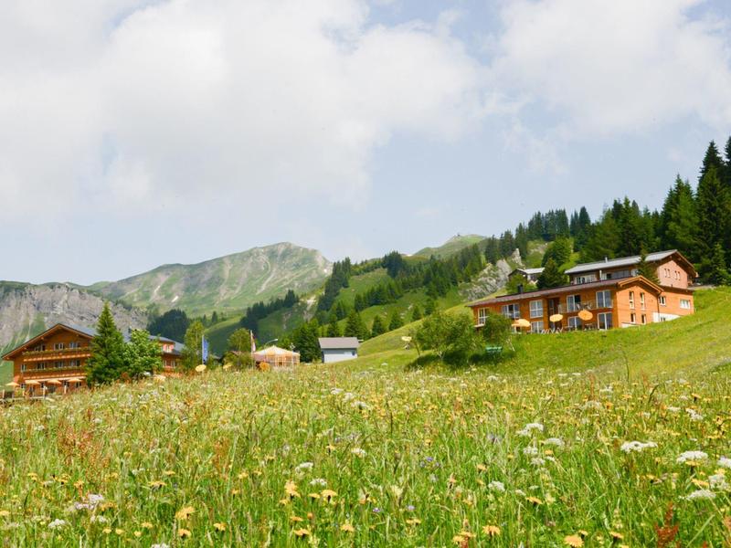 Grüner, blühender Wiesenhang mit Holz chalets und bewaldeten Bergen im Hintergrund bei blauem Himmel.