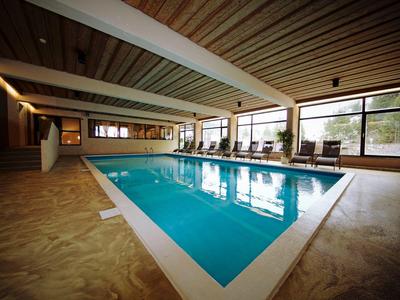 Innenraum mit großem rechteckigem Schwimmbad, Holzdecke, bodentiefen Fenstern und Liegestühlen.