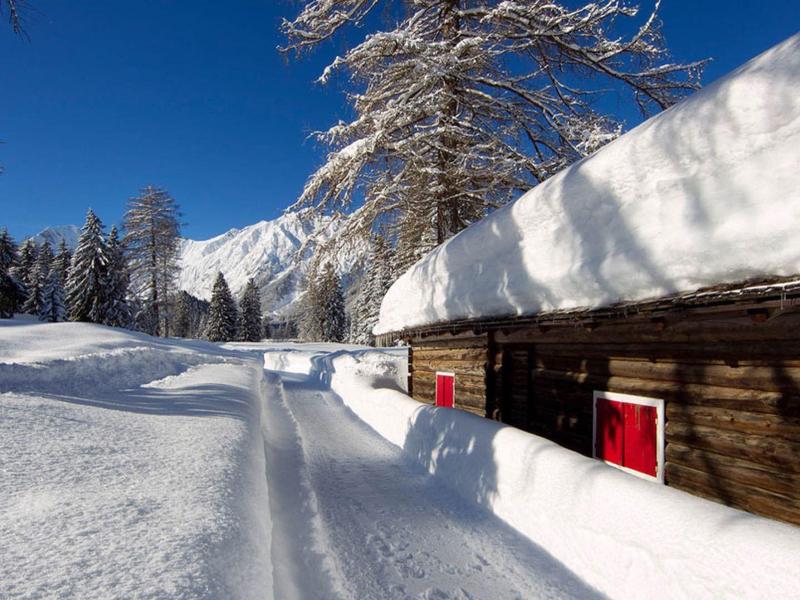 Schneebedecktes Holzhaus mit roten Fensterläden, verschneite Bäume und Berglandschaft im Hintergrund.