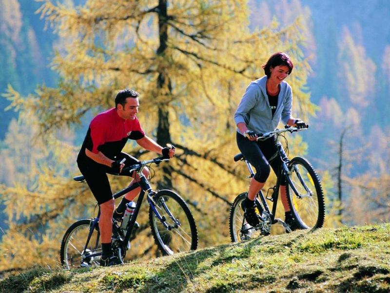 Dwie osoby jeżdżą na rowerach na zalesionym wzgórzu w słoneczną pogodę.