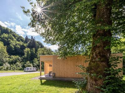 Modernes Holzhaus in grüner Landschaft mit großer Baumkrone bei sonnigem Himmel