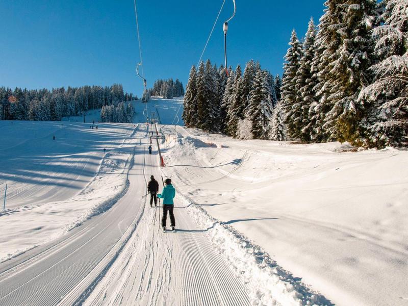 Two skiers on a freshly groomed ski trail with snow-covered fir trees in the background.