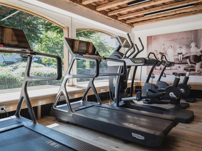 Modern fitness machines by large windows with a view of green foliage in a bright room.