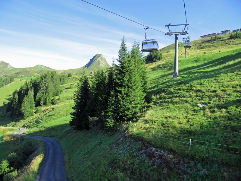Grüne Bergwiese mit Nadelbäumen, Sessellift und blauem Himmel bei Sonnenschein.
