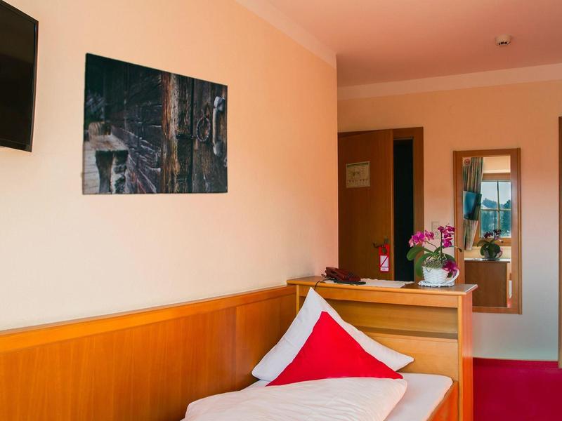 Chambre d'hôtel avec lit simple, oreiller rouge, tableau mural, télévision et fleurs sur la table.