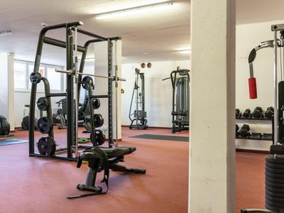Salle de sport avec différentes machines d'entraînement et haltères dans une pièce lumineuse.