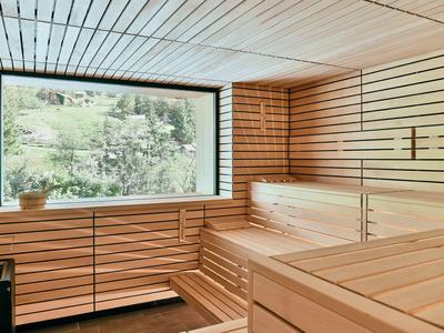 Bright sauna with wooden paneling and large window overlooking mountains.