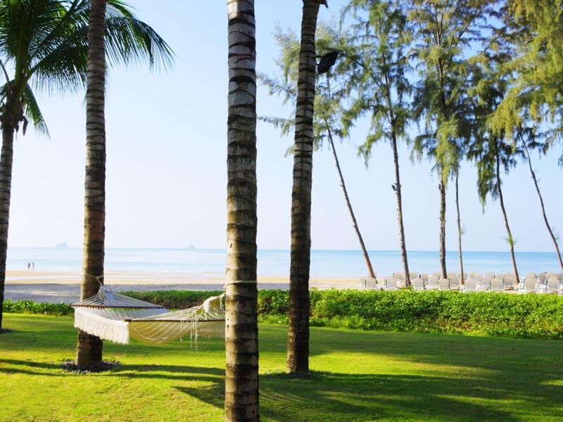 Ein Hängematte zwischen Palmen auf einer grünen Wiese mit Blick auf das Meer.