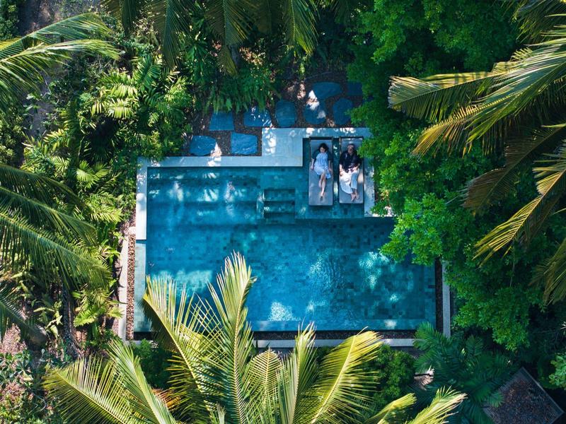 Rechteckiger Pool mit blauer Wasserfläche, umgeben von dichtem, grünem tropischem Laub.