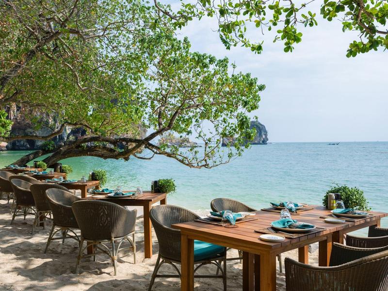 Restaurantterrasse mit Holztischen und Stühlen unter Bäumen am Meer, blauer Himmel, ruhige Atmosphäre.