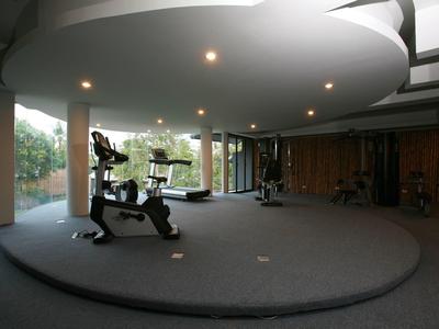 Moderner Fitnessraum mit grauem Teppich, Trainingsgeräten und großen Panoramafenstern.