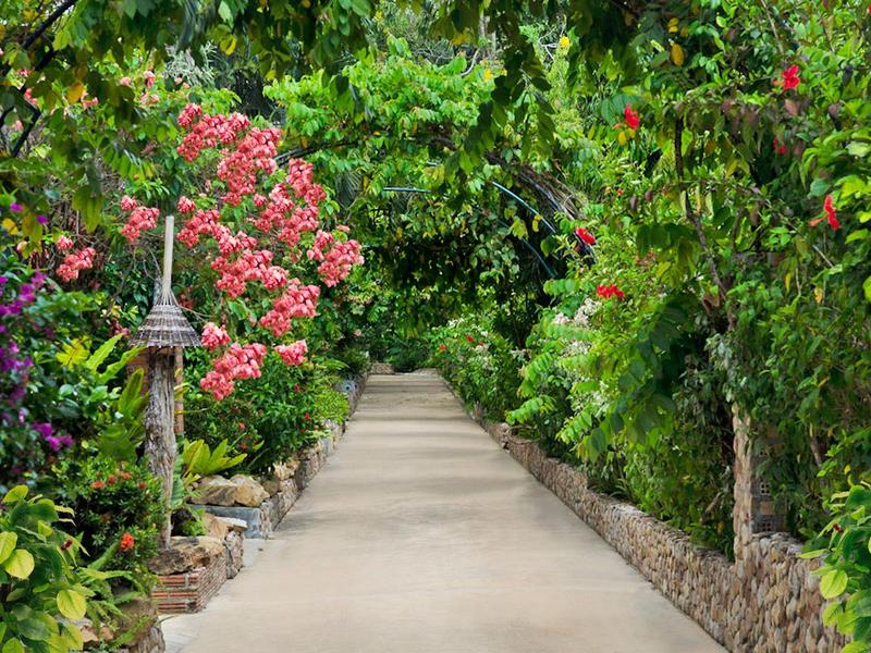 Ein schmaler Weg führt durch einen üppigen Garten mit bunten Blumen und dichtem Grün.